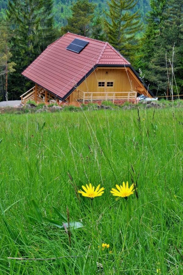 Kamp Beli Gaber Hotel Stari Trg pri Lozu Екстериор снимка